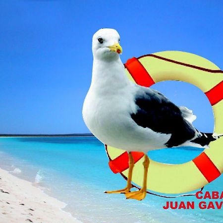 Cabanas Juan Gaviota Punta de Choros Eksteriør billede