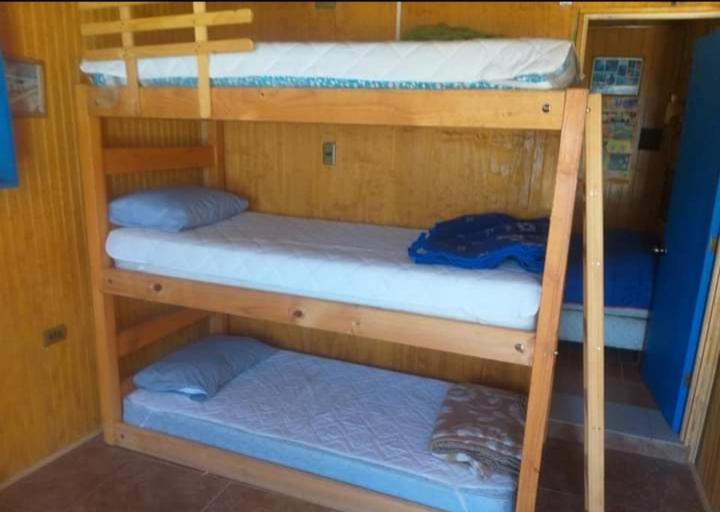 Cabanas Juan Gaviota Punta de Choros Eksteriør billede