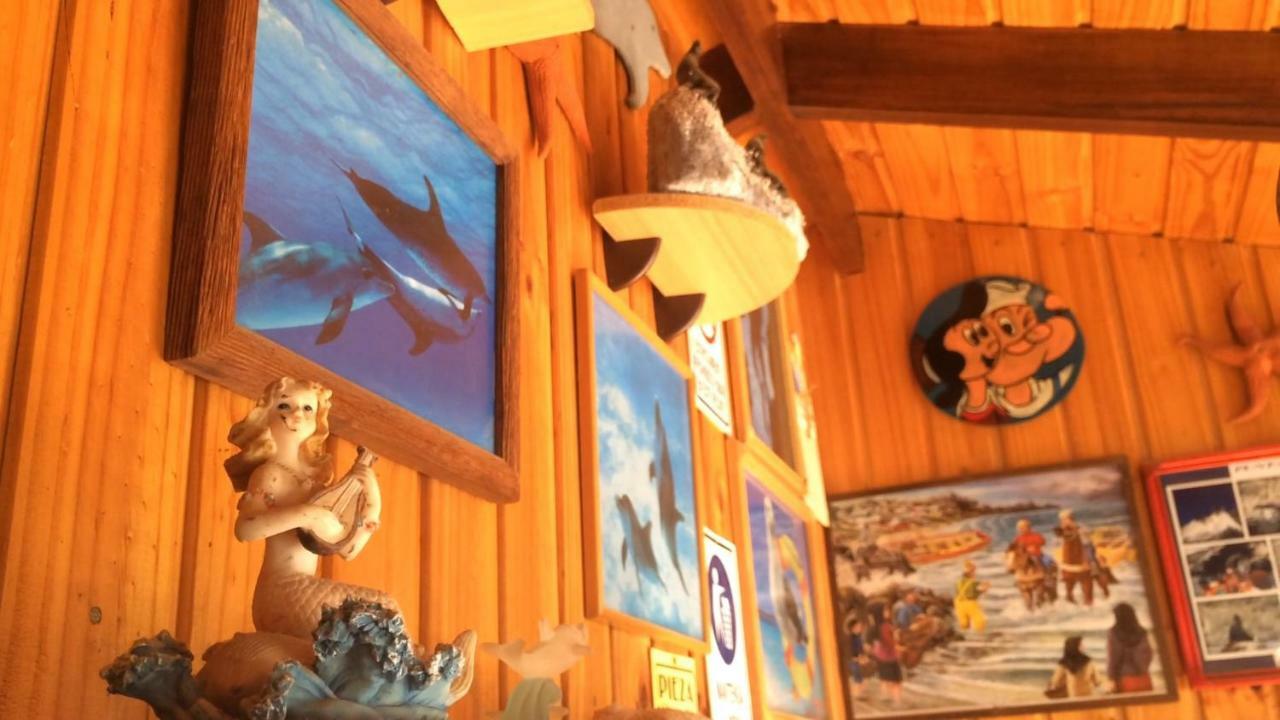 Cabanas Juan Gaviota Punta de Choros Eksteriør billede