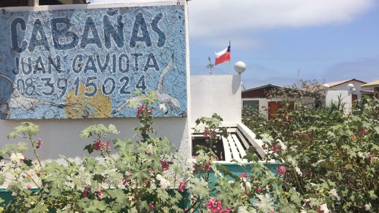 Cabanas Juan Gaviota Punta de Choros Eksteriør billede