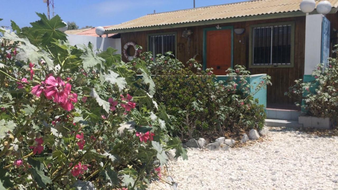 Cabanas Juan Gaviota Punta de Choros Eksteriør billede