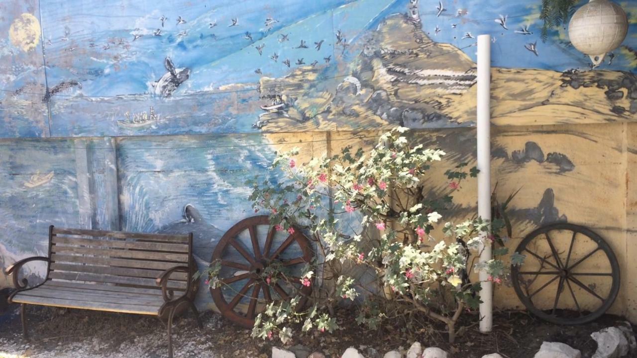 Cabanas Juan Gaviota Punta de Choros Eksteriør billede