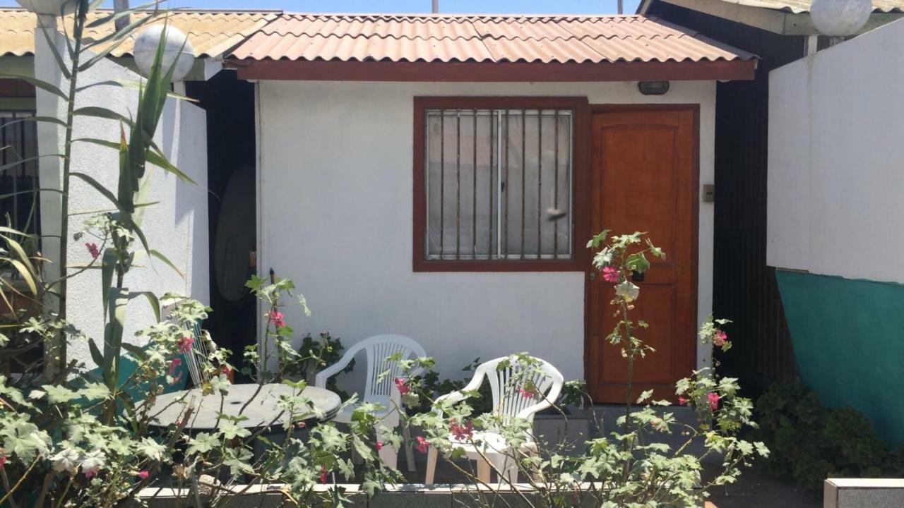 Cabanas Juan Gaviota Punta de Choros Eksteriør billede