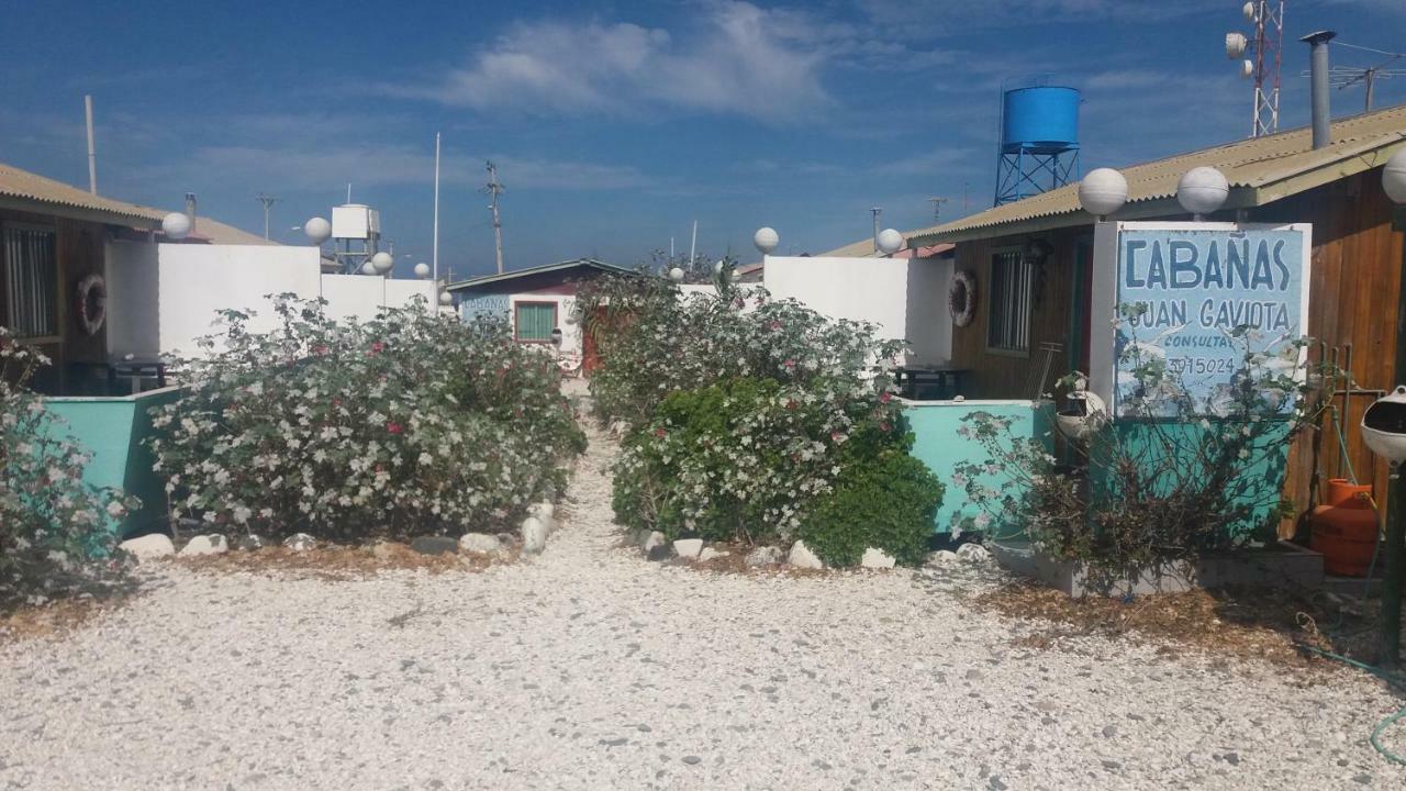 Cabanas Juan Gaviota Punta de Choros Eksteriør billede