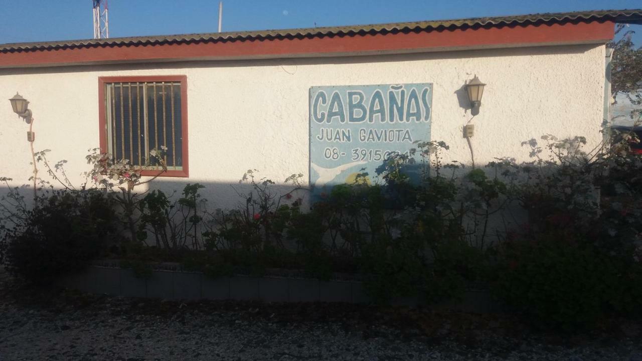 Cabanas Juan Gaviota Punta de Choros Eksteriør billede