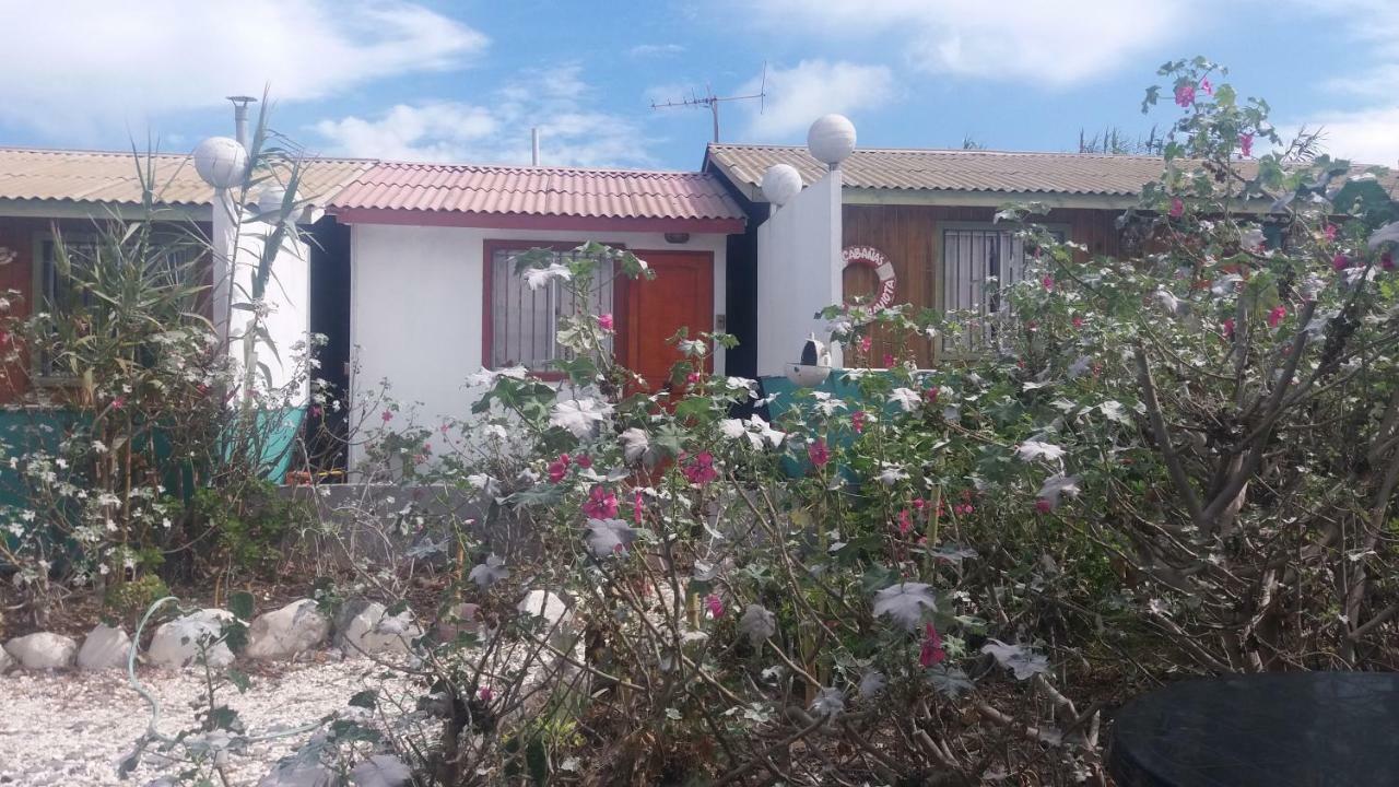 Cabanas Juan Gaviota Punta de Choros Eksteriør billede
